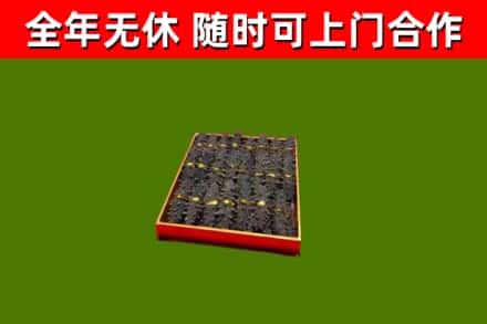 和田地区回收海参